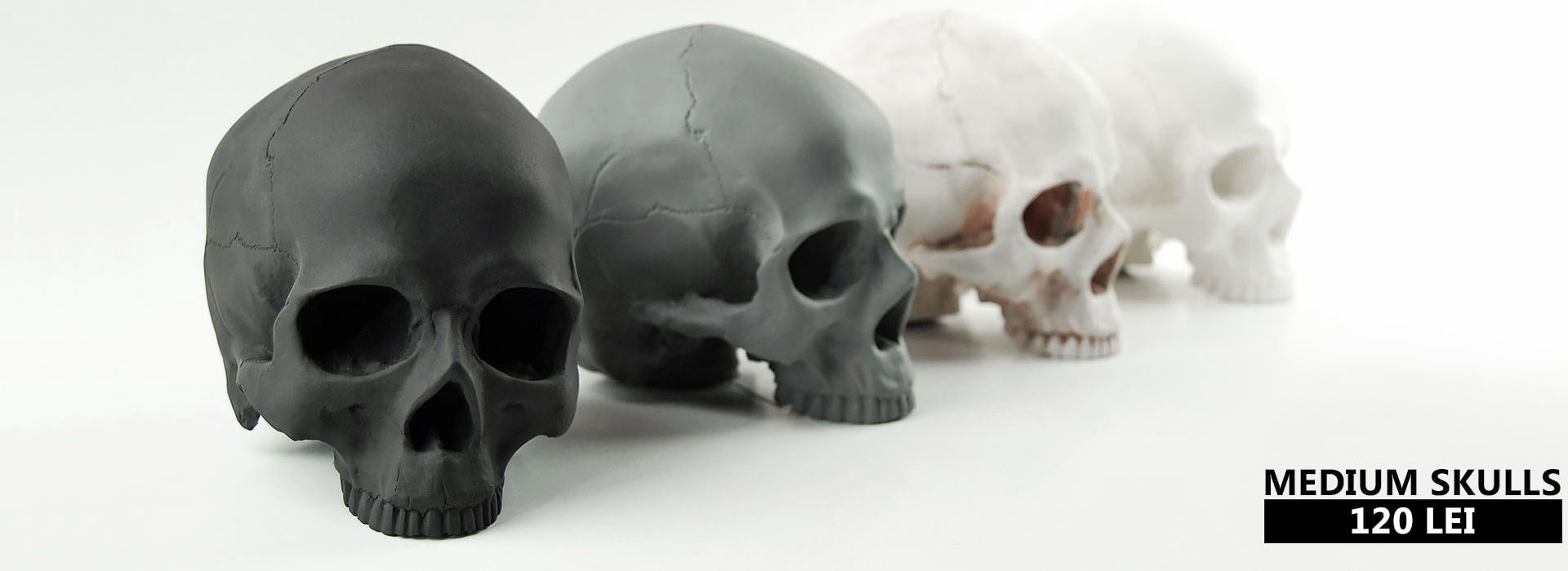 Cranii decorative simple Creeps
