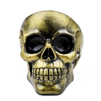 Craniu Gold Ash