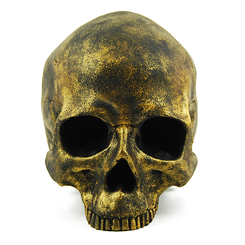 Craniu Gold