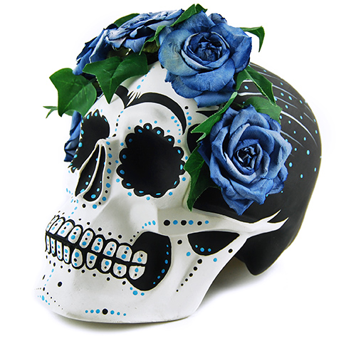 Craniu Frida
